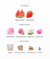 Fragrance notes