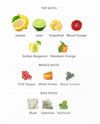 Fragrance notes
